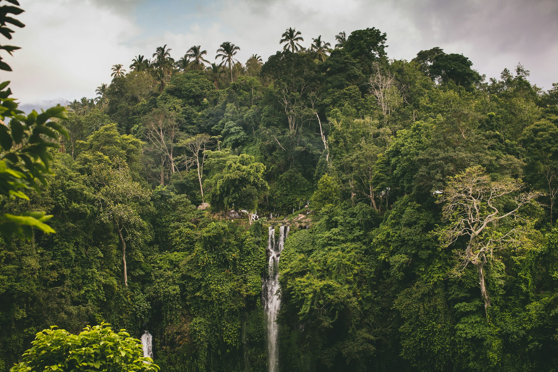 North Bali Half Day Tour